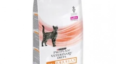 Koľko krmiva je mačka pre správny vývoj